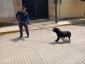 Imagen en miniatura